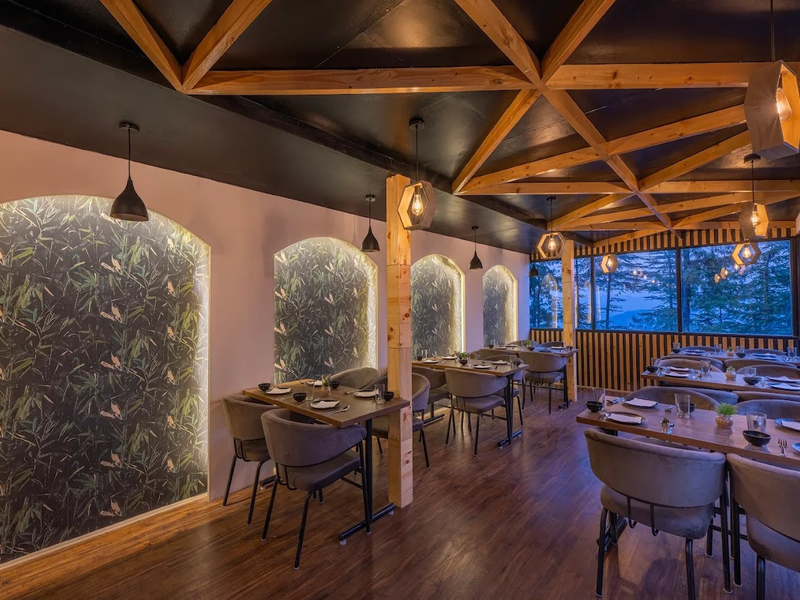 Terrace outdoor seating with mountain and pine tree views